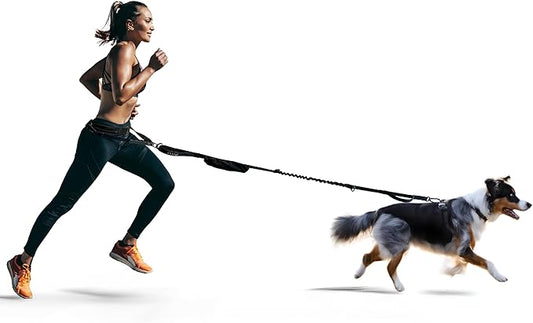 Sports Fitness Reflective Elastic Pet Running Traction Belt