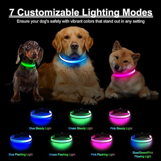 Light Up Dog Collar, Multicolor LED Dog Collar with 7 Modes, USB-C Rechargeable Reflective Glow Collar, Waterproof & Adjustable Design with Battery Indicator for Safe Night Walks